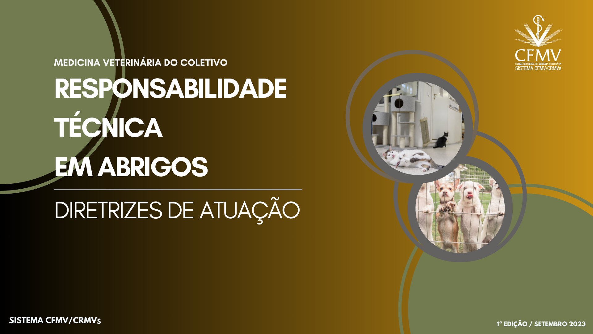 Roteiros de Vistoria do RT