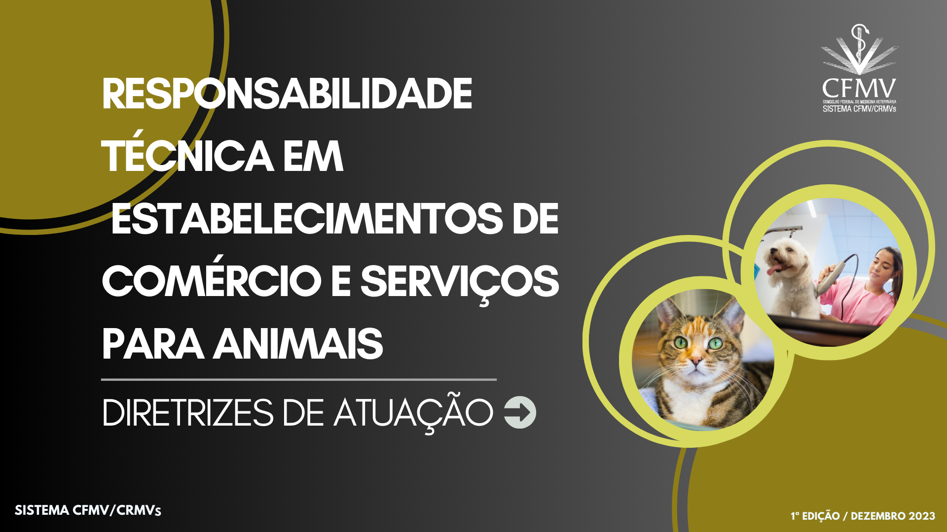 Roteiros de Vistoria do RT