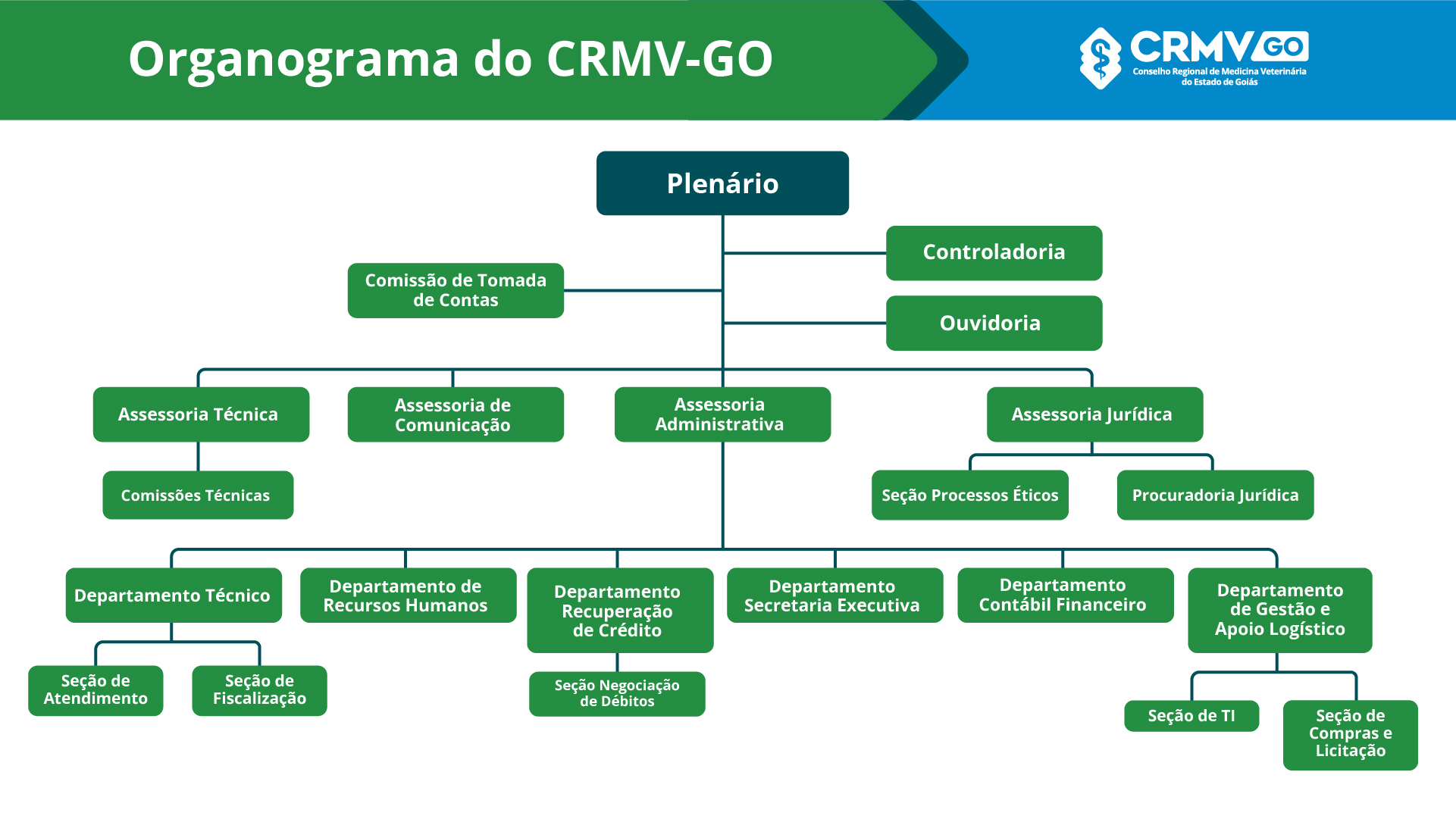 Organograma-100