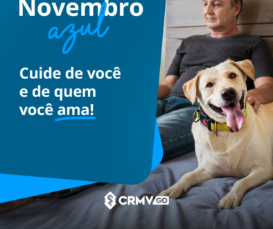 novembro azul