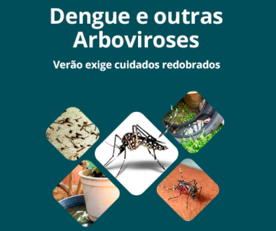 Prevenção dengue