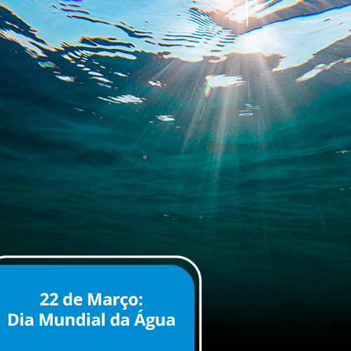 DIA DA ÁGUA