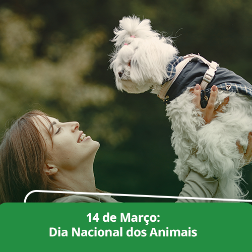 DIA DOS ANIMAIS