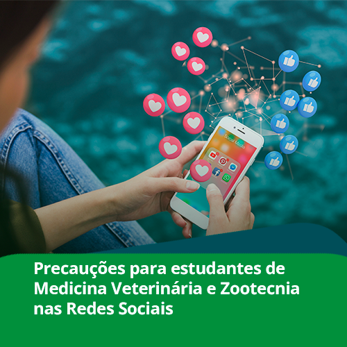 REDES SOCIAIS