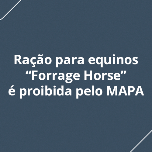 MAPA PROÍBE SITE