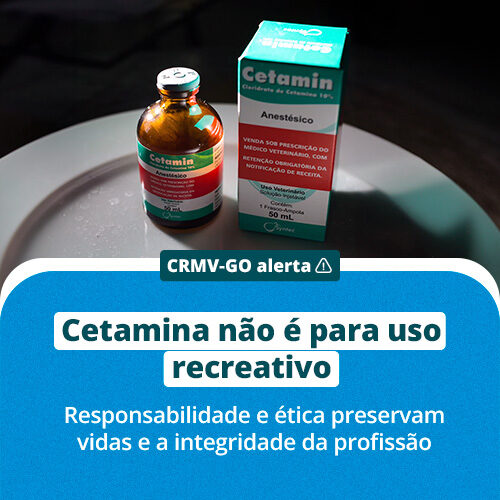 site (10)
