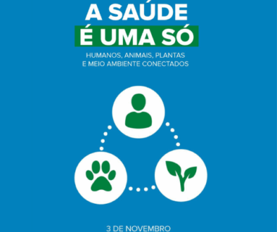 Template site(500 x 500 px) (10)