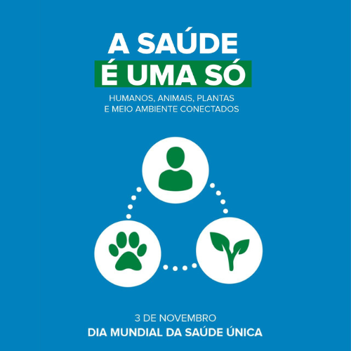 Template site(500 x 500 px) (10)