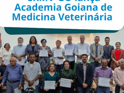 Template site(500 x 500 px) (12)