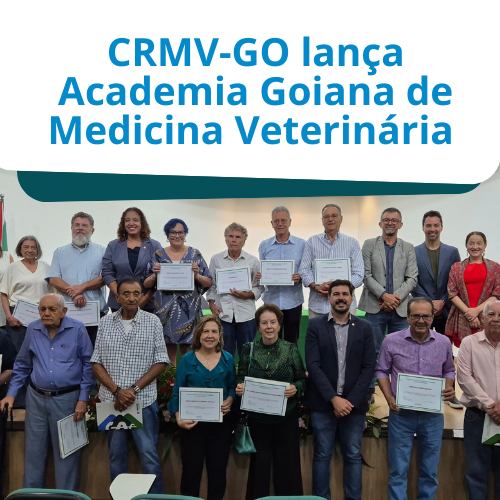 Template site(500 x 500 px) (12)