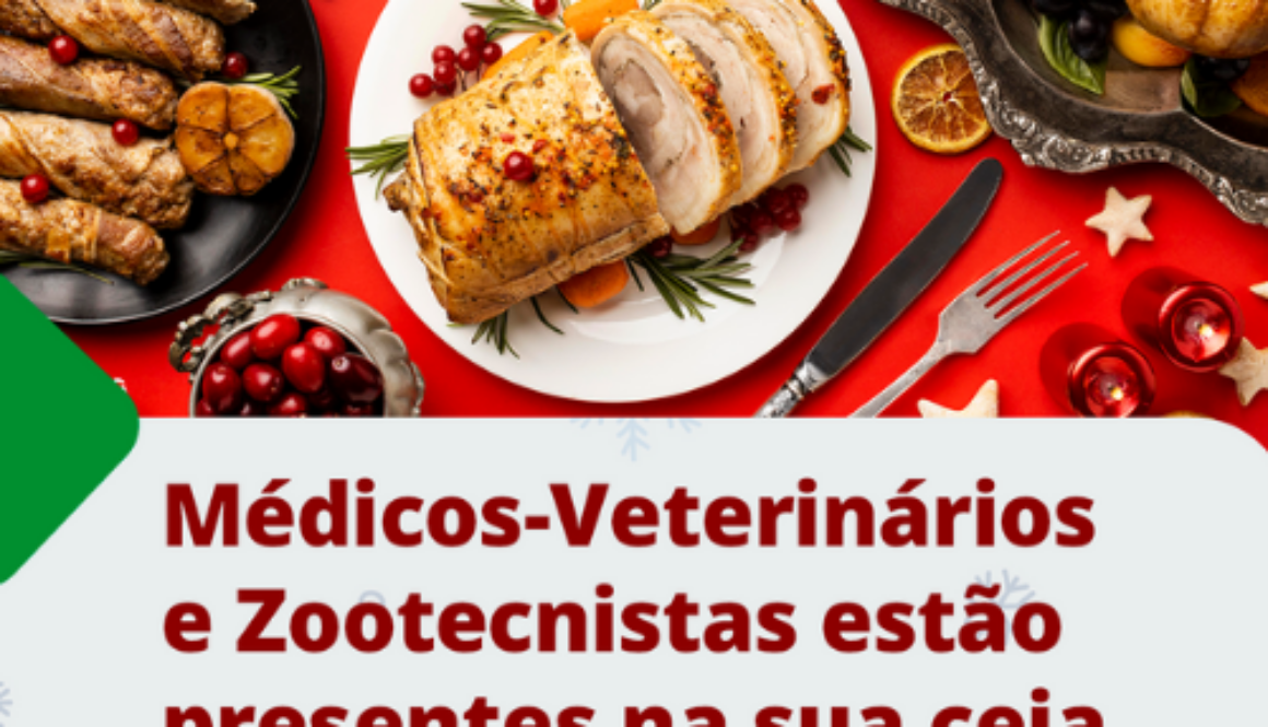 Template site(500 x 500 px) (13)