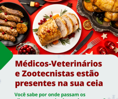 Template site(500 x 500 px) (13)