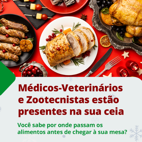 Template site(500 x 500 px) (13)