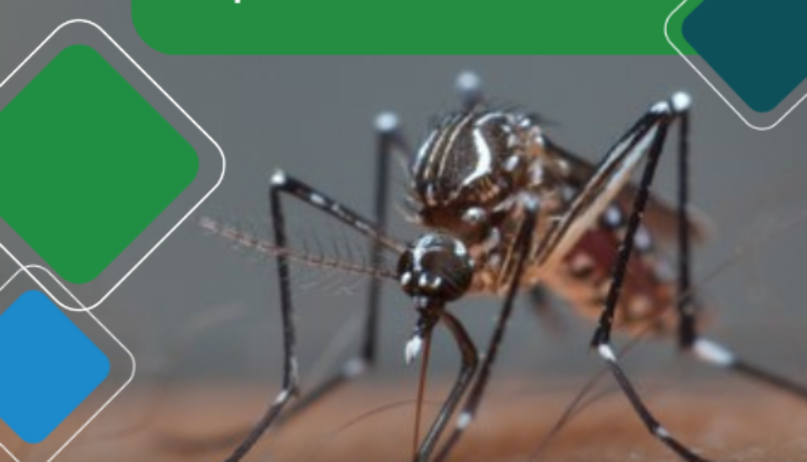 Template site(500 x 500 px) (14)