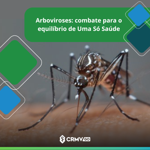 Template site(500 x 500 px) (14)