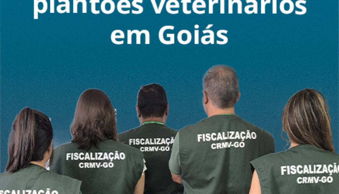 De Olho no Plantão