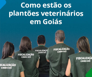 De Olho no Plantão