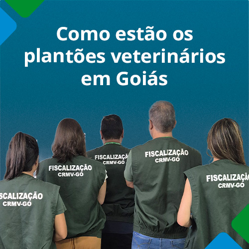 De Olho no Plantão